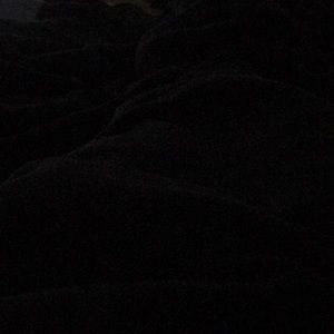 Meet your Posher, Hector